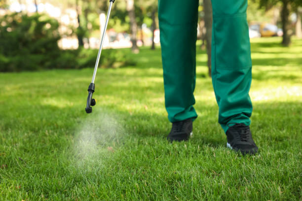 Best Rodent Control Near Me  in Willits, CA