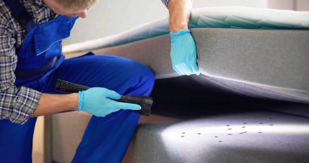 Pest Control for Restaurants in Willits, CA